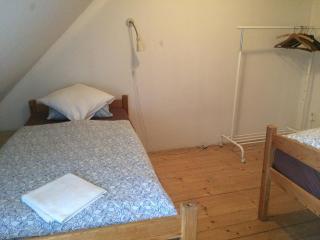 Apartments at the Golden Plough - Praga - 1