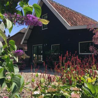 Boerderij Honswijck - 3