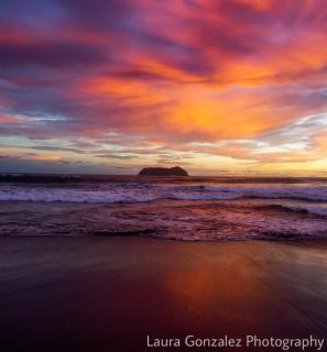 Oceanfront Hotel Verde Mar direct access to the beach - Manuel Antonio - 7