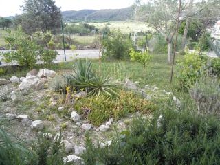 Apartments with parking space Supetarska Draga - Donja, Rab - 15423 - Rab - 1