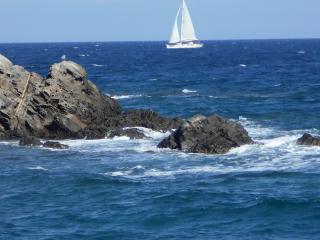 Le Case Punta Negra - Stintino - 0
