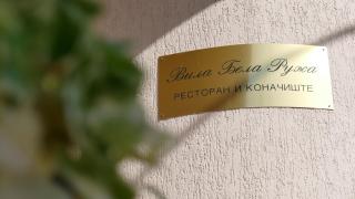 B&B Vila Bela Ruza - Sremska Mitrovica - 6