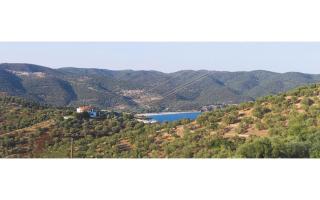 Art Hotel Panorama - Pyrgadikia - 5