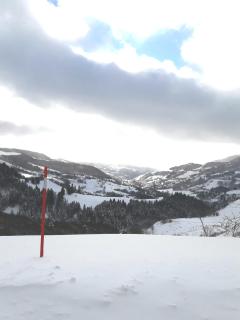 maison cosy proche de la station de ski du lioran 4 personnes - Thiézac - 7