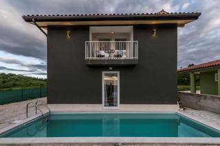 Villa Art House with Pool - Vižinada - 8