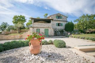 Unique Villa Bošket with Pool and Jacuzzi surrounded by Nature - Vižinada - 8