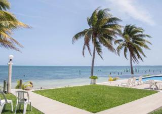 Flamingo Paradise Front by Cielo Maya - 3