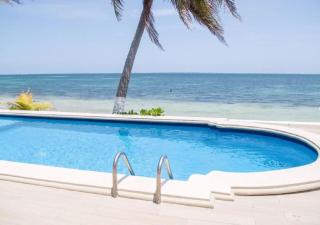 Flamingo Paradise Front by Cielo Maya - 9