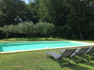 Les Amarines - Saint-Rémy-de-Provence - 8