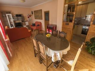 Charming holiday home with private pool - Islam Latinski - 1
