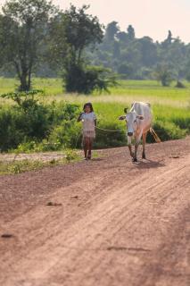 Chansor Community Homestay 1 - Phumĭ Svay Thum - 0