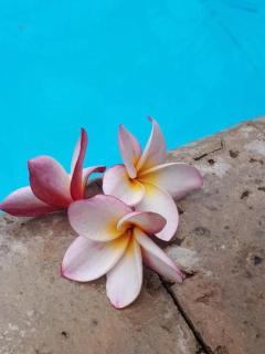Villa Eight - Kalbarri - 6