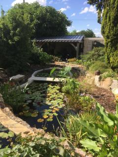 Maison d'hôtes LES RAINETTES - Breuillet - 6