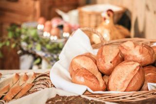 Pension zur Weinlaube - Bornheim - 3