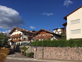 Max 's Siusi Apartament - Siusi - 6