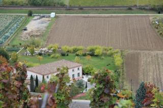 Hôtel Le Domaine des Vignes Ampuis Lyon Sud Vienne - Ampuis - 1