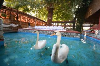 Lydia Hotel - Krinídhes - 9