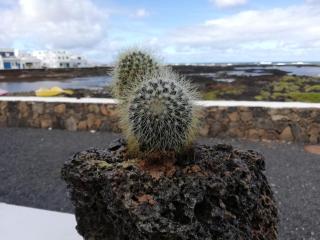 mirador del roque 2 - 8