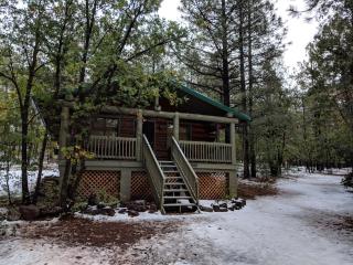 Cozy Cub Log Cabin - Year Round Tranquil Beauty - Pinetop-Lakeside - 9