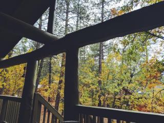 Cozy Cub Log Cabin - Year Round Tranquil Beauty - Pinetop-Lakeside - 2