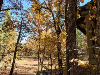 Cozy Cub Log Cabin - Year Round Tranquil Beauty - Pinetop-Lakeside - 6