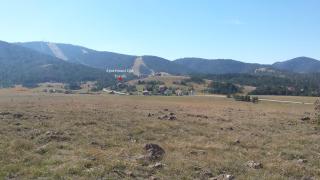 Zlatibor Apartmani DM Tornik - Zlatibor - 4