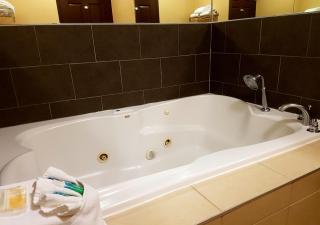 Best Western Plus West Edmonton - Edmonton - 6
