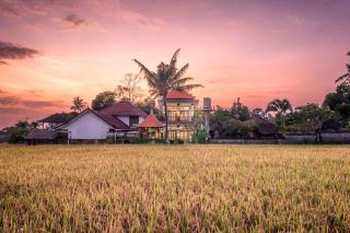 Griya Private Villa - Ubud - 8