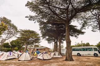 Torquay Foreshore Caravan Park - Torquay - 7