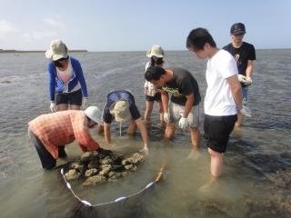 Long Beach Private Lodging - Magong - 3