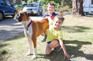 Lorne Foreshore Caravan Park - 6