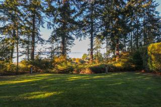 Octopus Den - Coupeville - 3