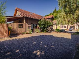 Cosy chalet with private garden - Saint-Quirin - 4