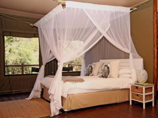Ngama Tented Safari Lodge - Guernsey Nature Reserve - 8