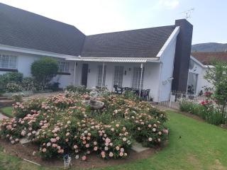 Mentor Guest house - Queenstown - 1