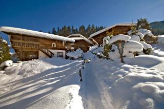 Ferienhäuser Reither Almen - Reith im Alpbachtal - 8