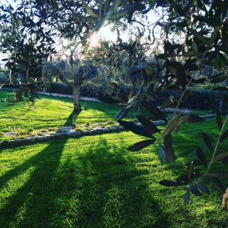 Masseria Gravelle - Turi - 8