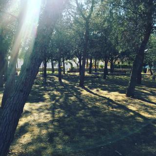 Masseria Gravelle - Turi - 6