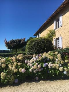 Domaine de Montmery sa piscine son jardin ses espaces - Ambazac - 3