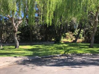 Pleasurelea Tourist Resort & Caravan Park - 4