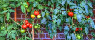 Old WesleyDale Heritage Accommodation - 2