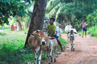 Chansor Homestay 4 By Siem Reap Homesteading - 6