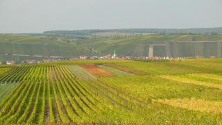 Weingut Herbert Kram - 5