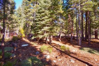 North Shore - Cozy Cabin - Wood Vista - 9