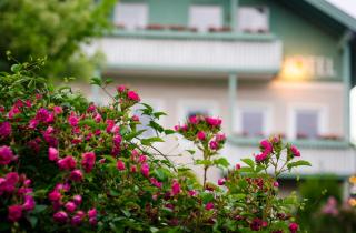 Gartenhotel Salzach - Burghausen - 3
