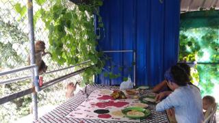 Jungleparadiso Homestay - Thekkady - 9