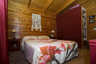 Cabaña de campo - Agost - 6