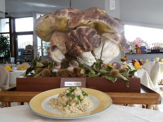 Hotel Ristorante Supersonik - Acri - 4
