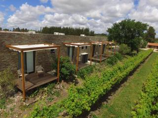 Pizzorno Lodge & Wine - Progreso - 2