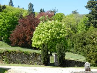 Domaine de Montmery sa piscine son jardin ses espaces - Ambazac - 5